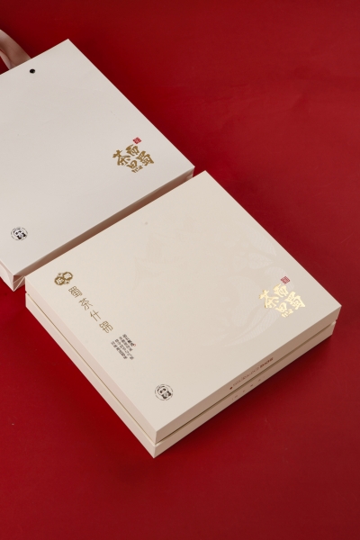 �Ҹ��l(xi��ng)�幫˾2 ����Y�а��b�O(sh��)Ӌ(j��)���ƶ����������